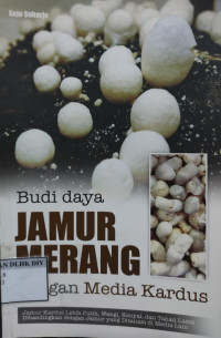 Image of Budi Daya JAMUR MERANG dengan Media Kardus