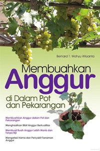 Image of MENUMBUAHKAN ANGGUR DI DALAM POT DAN PEKARANGAN